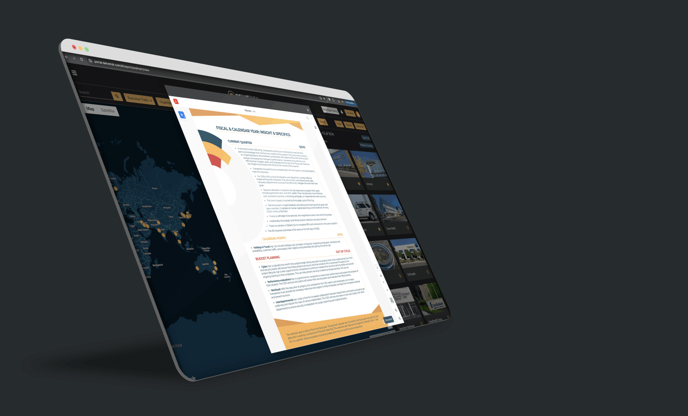 Web browser showing off the Fiscal/Calendar year tracker from the Delve Risk Snapshot Reports™ in the Portal.